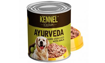 “Ayurvedic Dog Food” is an Insult to Hinduism