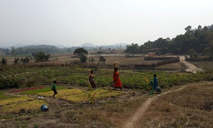 The Rice Harvest at Dayalu Baba’s Ashram